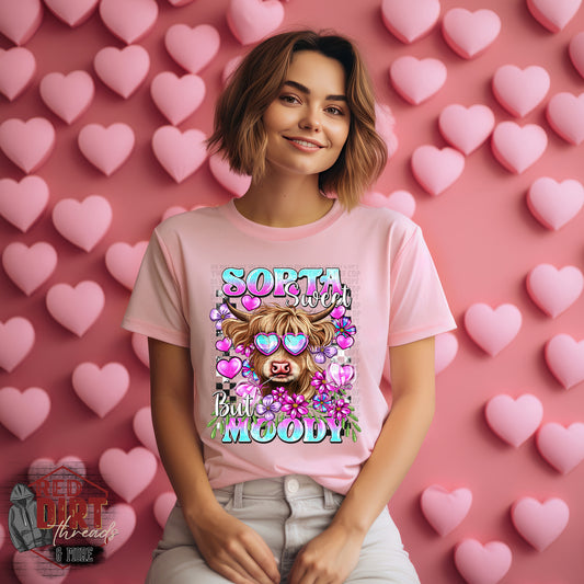 Sorta Sweet But Sorta Moody T-Shirt | Trendy Valentine's Shirt | Fast Shipping | Super Soft Shirts for Men/Women/Kid's